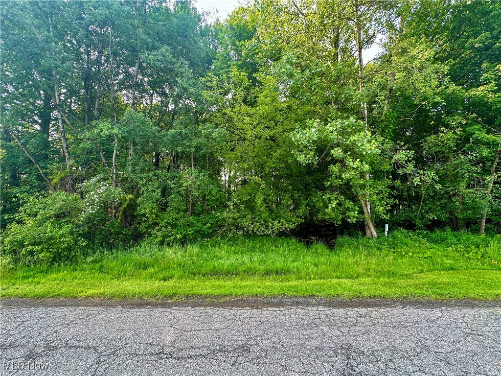 This prime 0.48 acre building lot offers an unparalleled opportunity to create your dream home in a highly desirable location. Imagine living just steps away from the prestigious Youngstown Country Club, where members indulge in golf, tennis, swimming, skeet/trap, dining and entertainment. Surrounded by meticulously maintained homes, this neighborhood exudes charm and tranquility. Enjoy the convenience of nearby shopping, dining and easy highway access, all while residing on a quiet, dead-end road that ensures peace and privacy. With all city utilities readily available, this is the perfect canvas to build the life you've always envisioned.