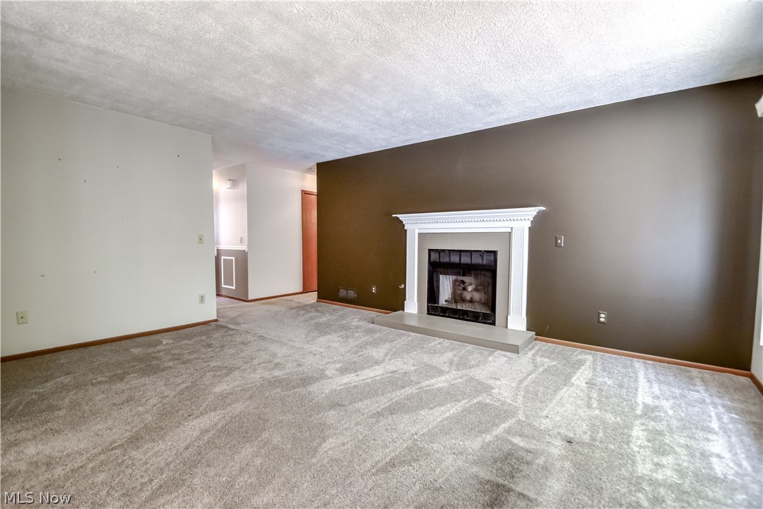 Country Scene Condo - Residential