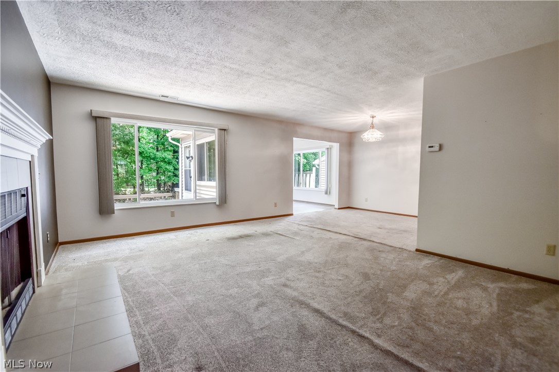 Country Scene Condo - Residential