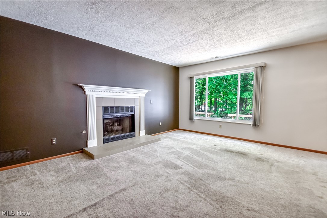 Country Scene Condo - Residential