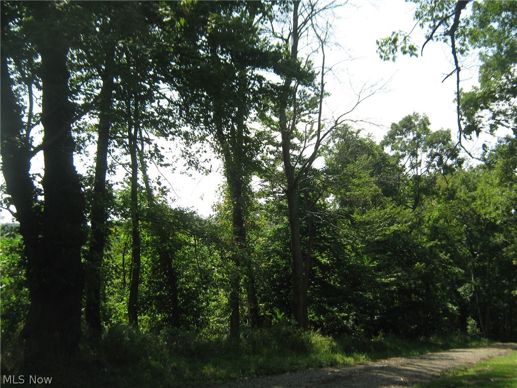 Vacant land