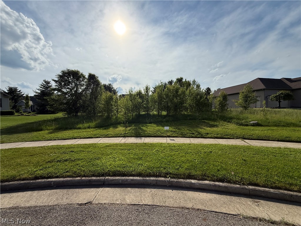 Build your dream home with exclusive builder The Ryno Organization in the highly desirable Preserve development in beautiful Canfield. This .31-acre residential lot offers the perfect opportunity to build a custom ranch or two-story home tailored to your lifestyle and vision. Featuring underground utilities including water, sewer, electric, and natural gas, this homesite combines modern convenience with an exceptional location. Enjoy the charm, privacy, and prestige of one of Canfield’s premier communities while working directly with an experienced custom home builder dedicated to quality craftsmanship and attention to detail. Call today to schedule a private tour with the builder and start planning your custom dream home.