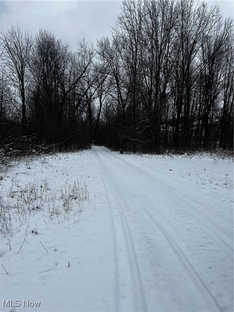 4 acres of flat land ready to be built on. Public water and sewer available at the street.