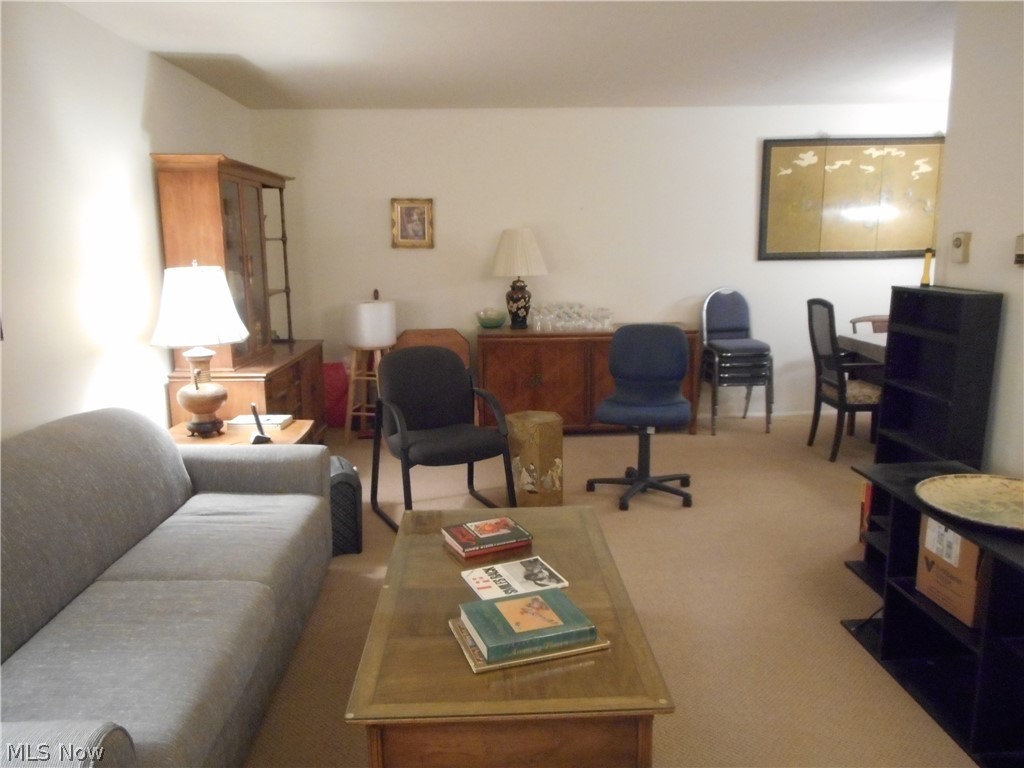 Silver Lake Towers Condo - Residential