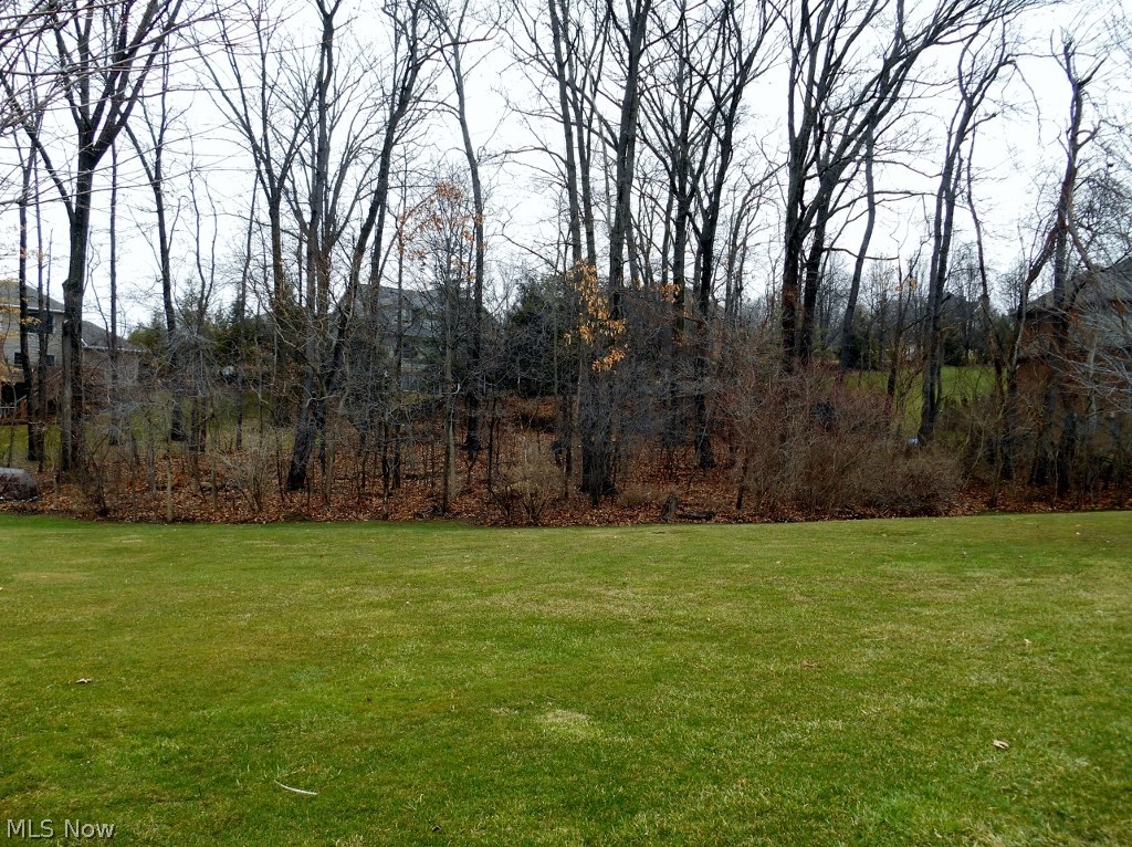 Meadows At Nobles Pond - Land