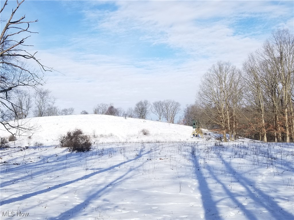Trophy whitetail hunters know that great neighbors and great genetics make for great hunting, and this exceptional property delivers on every level. Surrounded by like-minded trophy managers, this proven piece produced a massive 196-inch giant during the 2025 season. Located just outside Summitville, the property is currently undergoing select timber cutting to enhance bedding areas and already features established food plots, hunting blinds, and a well-thought-out layout ready for the serious hunter. As an added bonus, the property includes shared ownership of a stunning 9-acre lake loaded with fish, with the property line running directly through the middle—offering both world-class hunting and recreational enjoyment. Whether you’re chasing trophy whitetails or looking for a private family retreat, this is truly a rare and exceptional opportunity. 

Parcel 1: 93+/- acres, open and wooded, building sites, pond, 3 hunting blinds. 

Parcel 2: 70+/- acres, open and wooded, building sites, 1 hunting blind