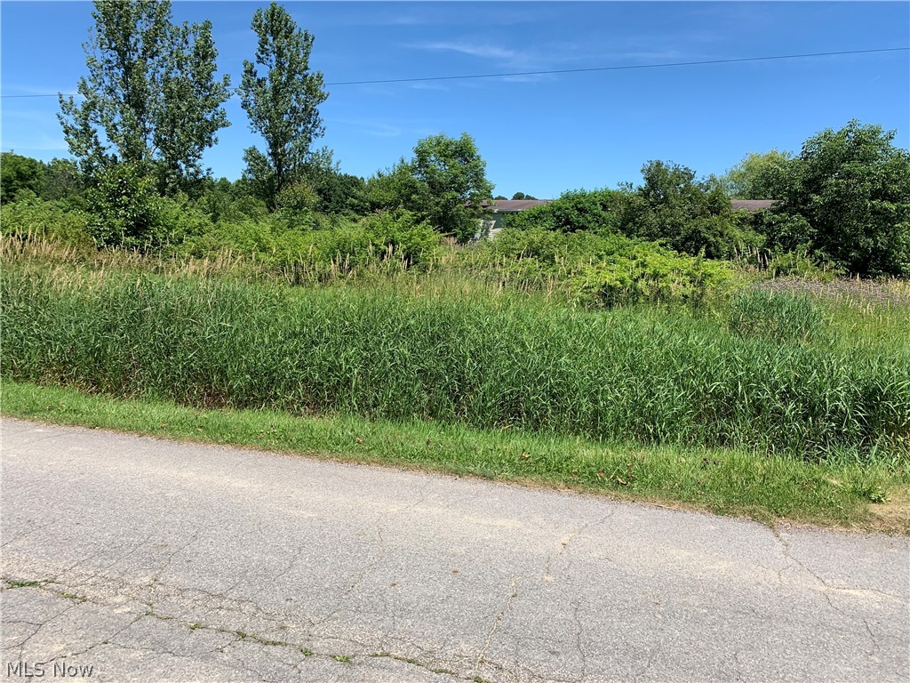 Home on property has been vacant for approx 14 years. Condition of manufactured home on property is unknown. Access to inside is unavailable. Property being sold as is. Condition of well and septic unknown. Cash buyers only.