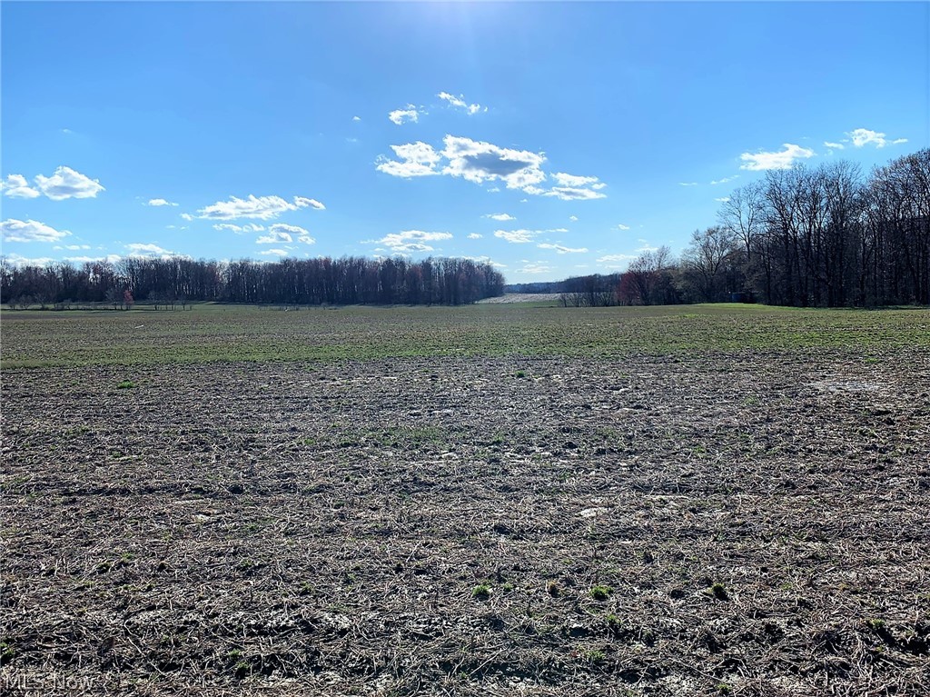 Here is your opportunity to purchase your 2+ acre future homesite in Wadsworth Township! Conveniently located just North of Reimer Road, on the West side of Beach Road, these lots give access to gorgeous sunsets to the rear of the property. You'll enjoy the freedom to build the size and style of home that fits your lifestyle, with the builder of your choice as there are no additional restrictions other than Wadsworth Township Zoning guidelines! Lot dimensions measure 150 frontage x 611 deep. Wadsworth electric and CityLink cable and internet service available! Perc tested and approved by Medina County Health Department. Easy access to shopping, restaurants and highways, all with a rural township setting!