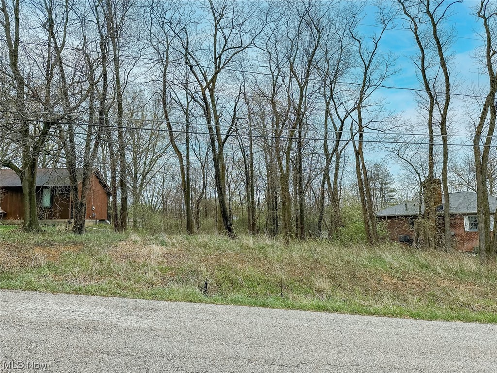 Looking for a great lot in Stow? Located in Little Farms #3 lot 68 and near downtown restaurants and entertainment!  This amazing .46 acre lot is available for you to build your perfect home. If your building plans include a walk-out lower level, this lot can accommodate. Electric, gas and sewer at street, water at rear of property. Zoned R3. Don't miss your opportunity!
