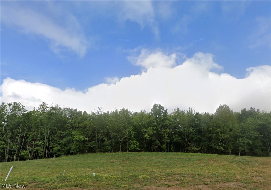 Gorgeous .87 acre lot in the desirable neighborhood of Monticello in Plain Local Schools. Contact your Realtor® and walk the lot today, the possibilities are endless!