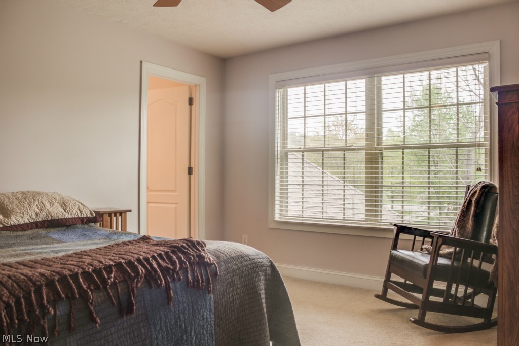 Tallmadge 02 - Residential