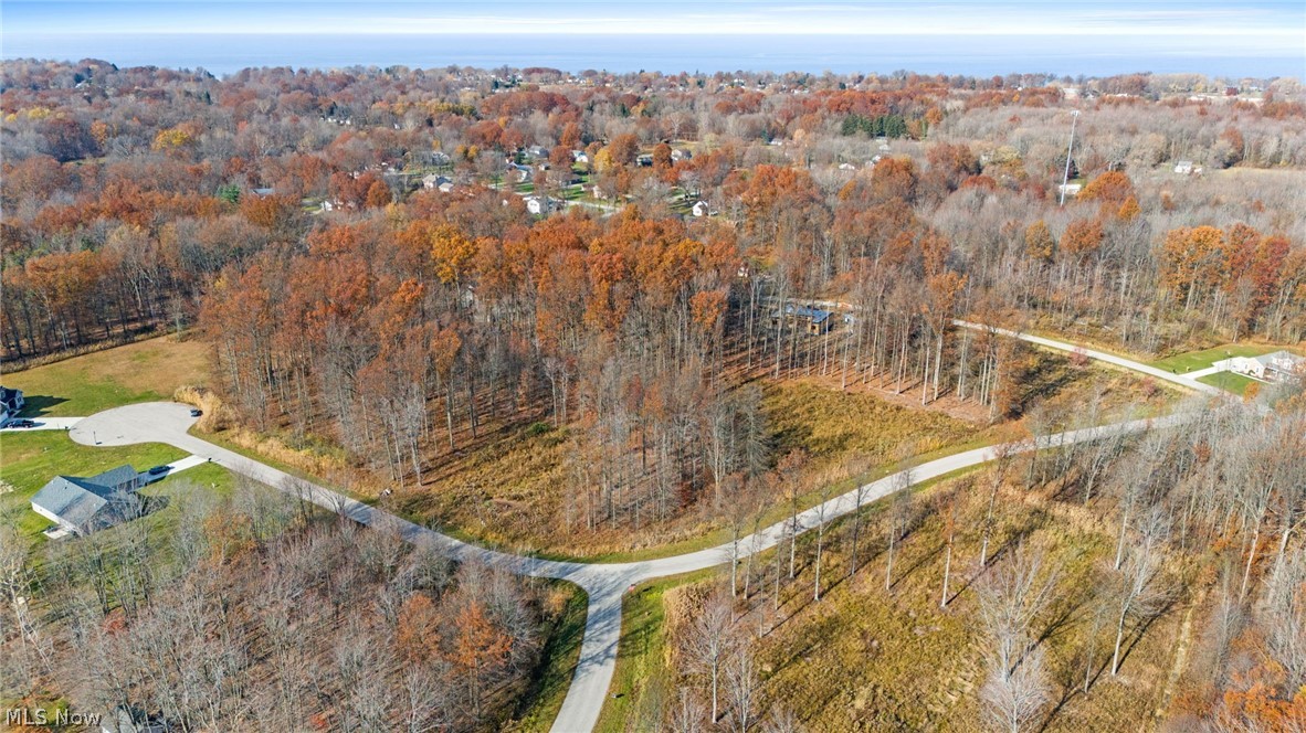 Discover the potential of this 2.279 acre vacant parcel nestled in the Mareddy Estates development in Saybrook Twp. The lot is one of the largest available and offers a nice blend of nature and privacy. Partially cleared, it beckons you to envision your dream home there. Benefit from the convenience of underground utilities, public water and sewer availability as well as a 7 year tax abatement!