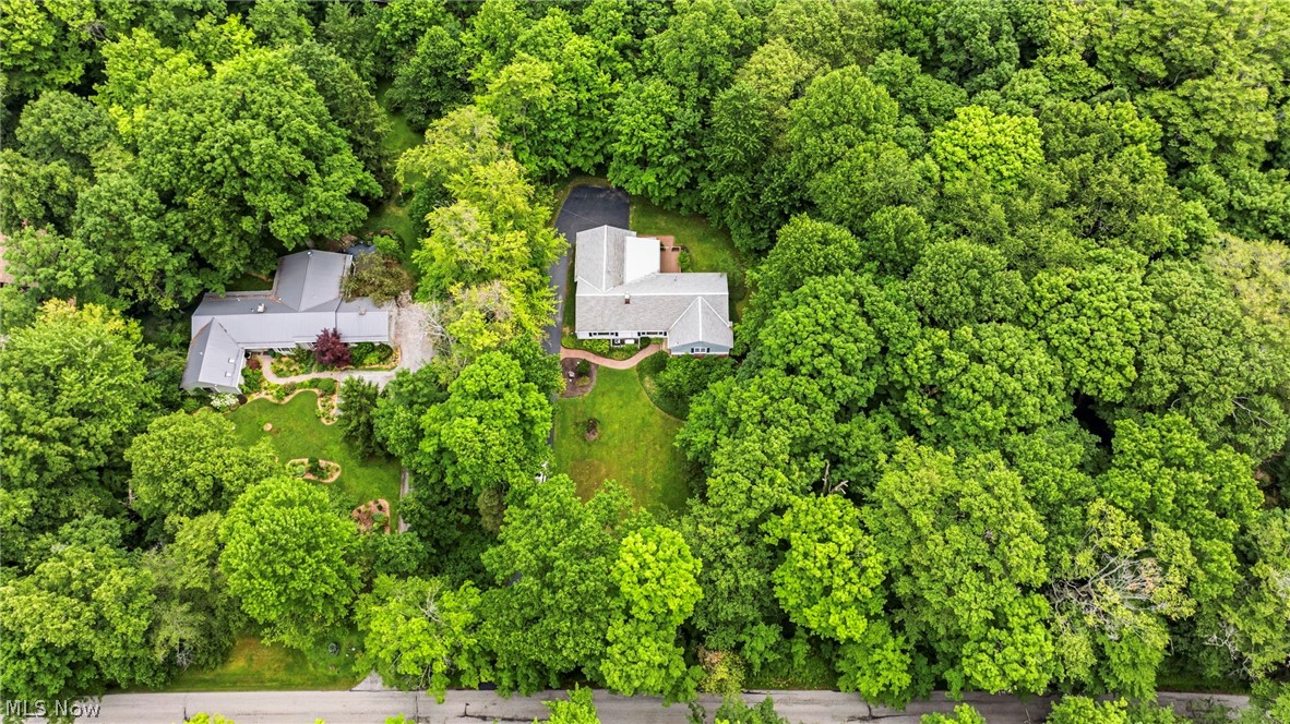 Bass Lake - Residential