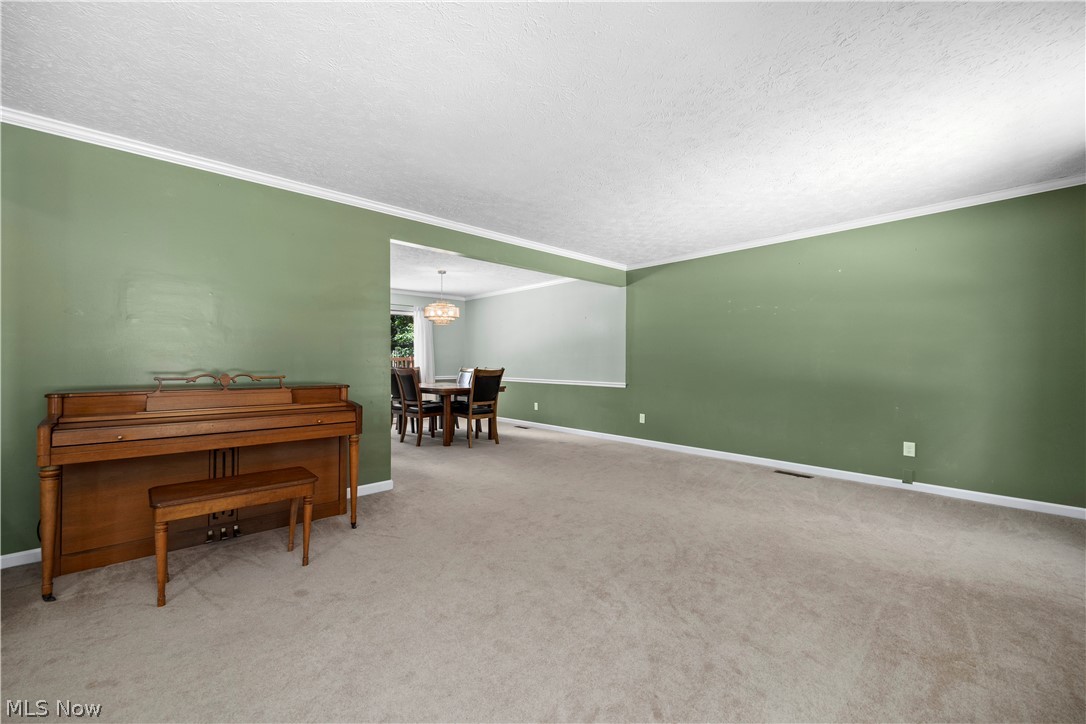 MEADOW RIDGE AREA - Residential