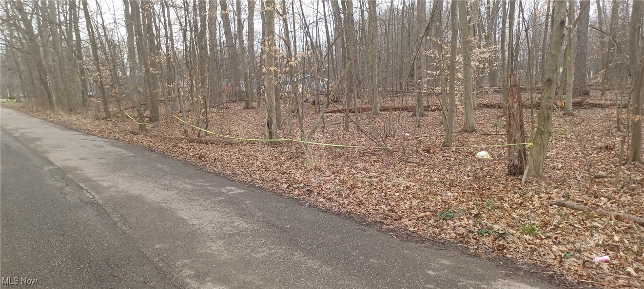 Close to Castaway Craig's and everything Lake Milton has to offer.  Sewer, Water and Electricity are available.