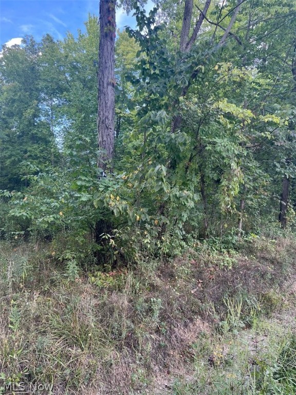 Breathtaking piece of Property! Own your own 10 acres on a quiet, peaceful country road. Lots of trees here and ready for you to hunt on, use as recreation or plan your new build! Mineral Rights transfer. Property in process of being surveyed off a larger parcel and 330ft frontage x 1330ft back is good estimate but will be determined once surveyed. Would require a well and septic to build. 10 Acre lot to the West MLS # 4404799 also available. Schedule your visit today before its gone