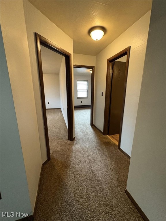Elm Park Lodge - Residential Lease