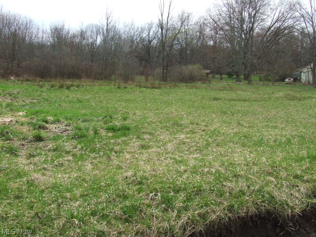 Build your dream home on this spacious Tallmadge lot!  .71 Acre lot with large cleared portion.  Triangular shaped lot with 226 ft frontage.  Sewer and water available to tie into (Tallmadge water dept = approx. $1800 tap in fee required).  Buyer responsible to verify all utility availability and cost, and building suitability.  Great opportunity to custom build on a large private lot with available city amenities.  Come and take a walk around while you imagine the possibilities!