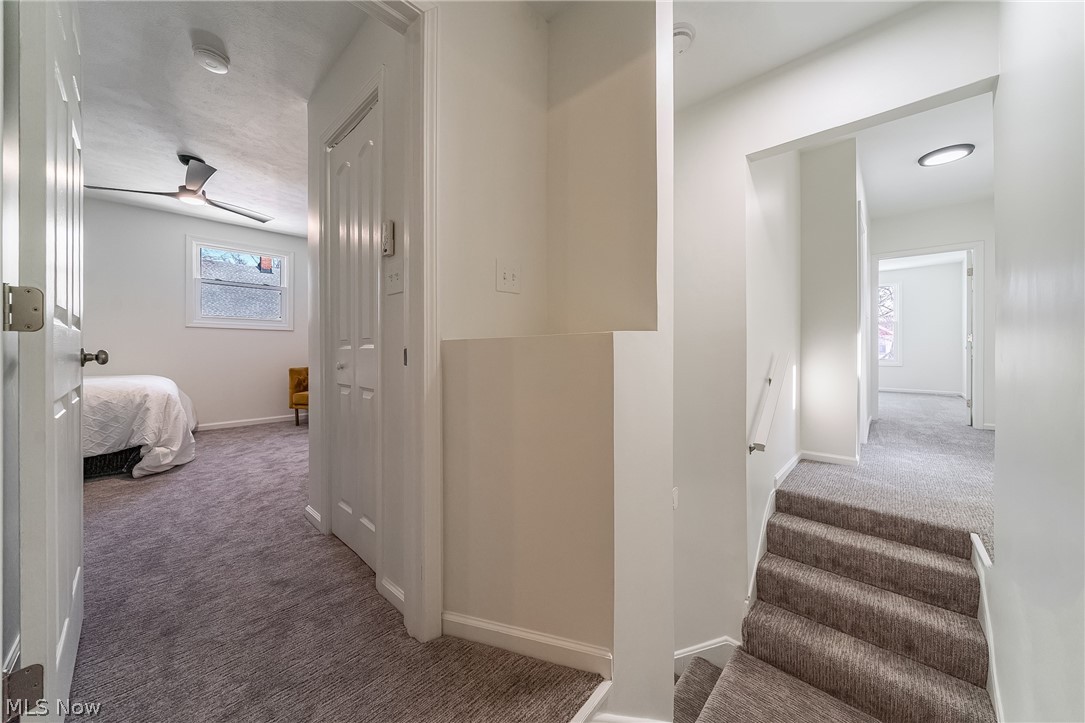 Nelson Park - Residential