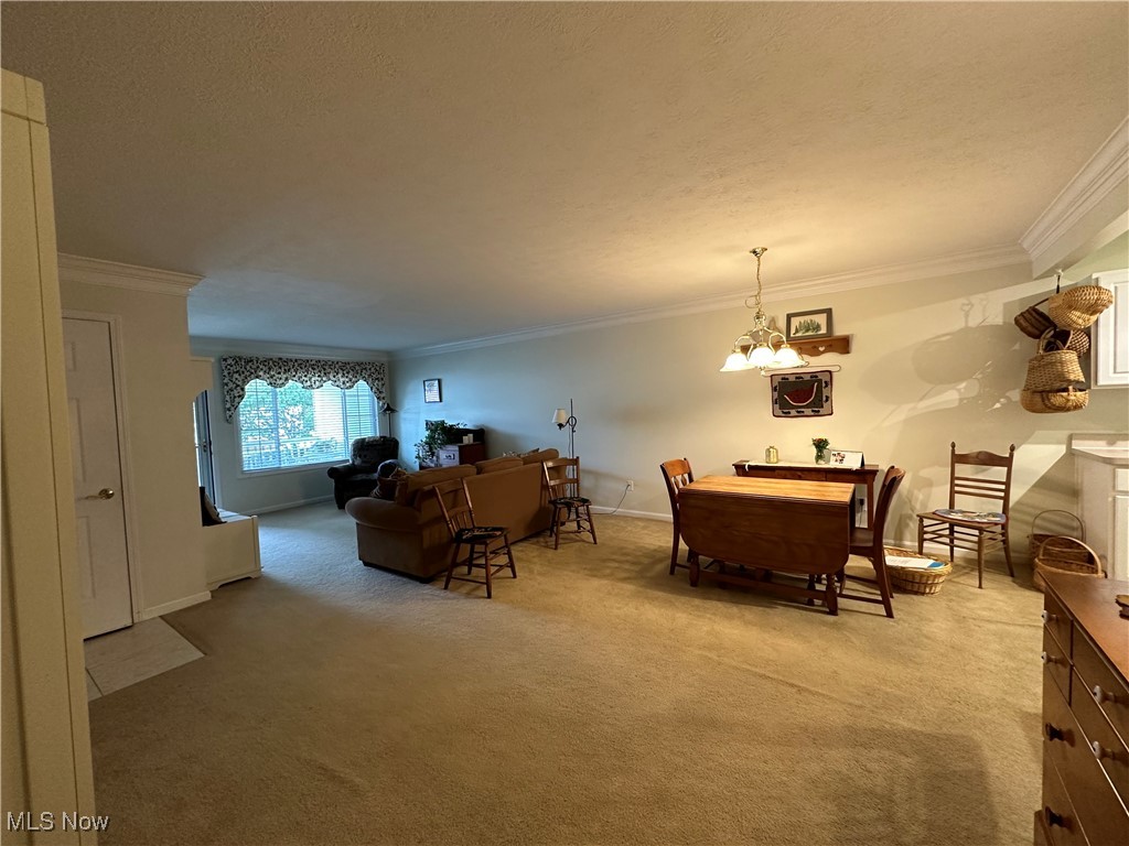 Savannah Condos - Residential
