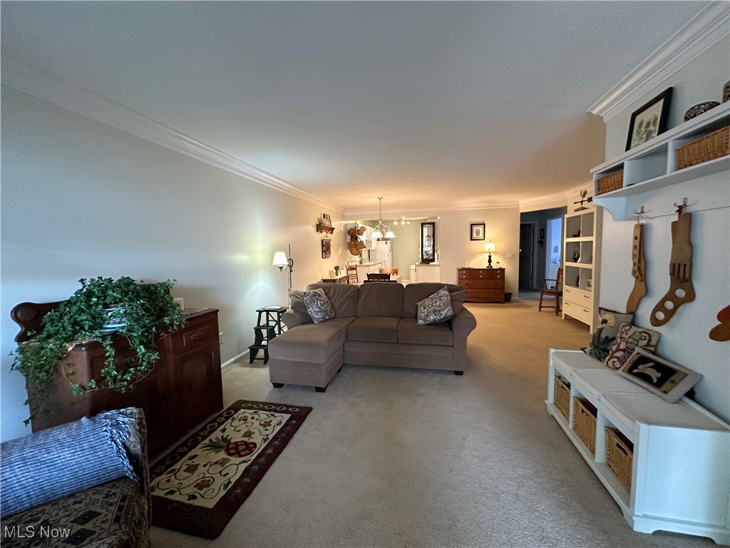 Savannah Condos - Residential