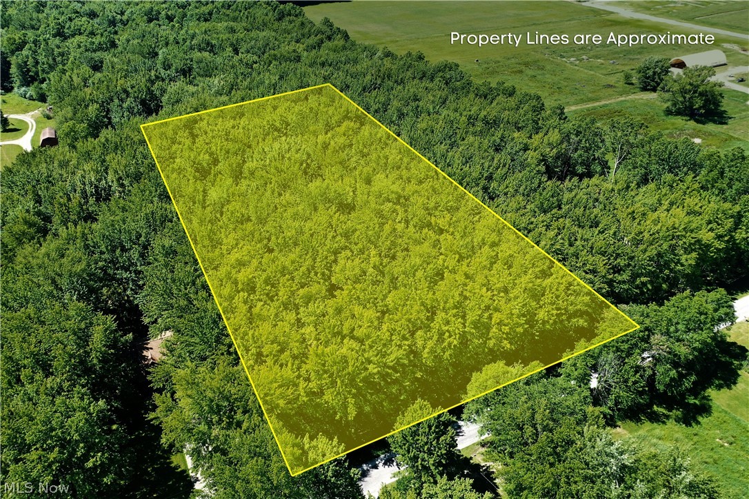 A beautiful wooded setting and 2.15 acres of opportunity await in desirable Champion Township! Surrounded by mature trees and natural beauty, this property offers the perfect backdrop for your future dream home, private retreat, or investment opportunity. Enjoy the peace and privacy of a country atmosphere while remaining just minutes from shopping, dining, schools, and everyday conveniences. With plenty of room to build and explore, this versatile parcel provides the space and flexibility to bring your vision to life. Whether you're looking for a secluded homesite or a place to enjoy nature, this scenic property is ready for its next chapter.