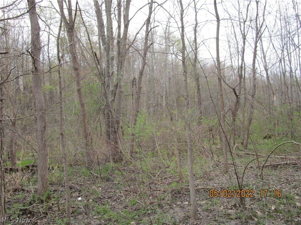 Come take a walk! Great piece of wooded property with plenty of frontage for privacy when you build that new home! Or, make it your weekend retreat for hunting, hiking, birdwatching - plenty of options available for enjoying this 23 parcel located conveniently close to I-90. Visit the multitude of local wineries in the area or head to Geneva on the Lake for some summer fun. Its a quick trip to Lake Erie for swimming, boating or fishing.  Slightly flag shaped, this lot has nice level areas out front, turning into some rolling topography as you head deeper into the woods. A small creek bisects the acreage about 1/3 of the way back and there is a small area of Wetlands per the National Wetlands mapping system. It presents as approximately a 1.10 acre Freshwater Forested/Shrub Wetland, with the habitat classified as a PFO1/SS1A. Buyers are advised to perform  their due diligence - there may be some old gas leases/easements but none that the current owner is aware of. Loads of deer and turk