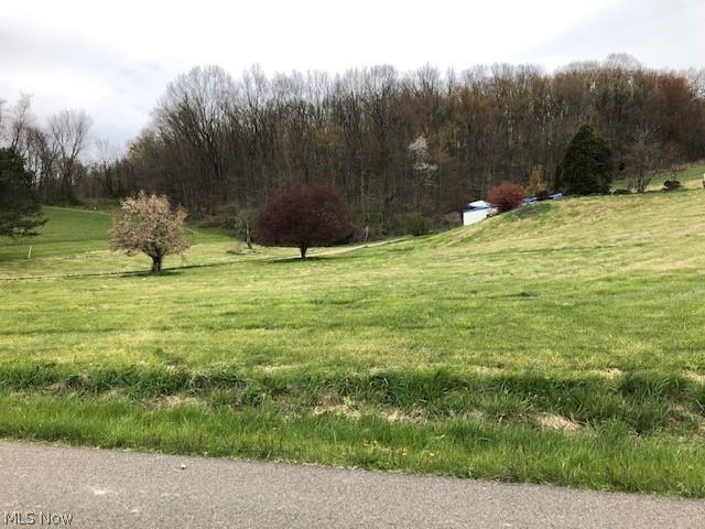 Basement, septic, well and natural gas line are on the property. Full basement 1783 sq ft. built in 1996. Modular burned in July 2019. Detached carport. Frontier Electric. Consumer Gas Cooperative. Great home site.  Key is at office to see basement.  Auditors Card can be seen on Auditors site along with maping of lot of 1.64