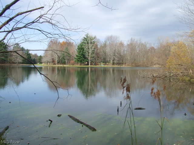Rare, vacant land located on Marion Lake, on Cuyahoga Falls/Akron border.  Last parcel of three to be sold, approximately 5.22 acres, part of it water.  Part of land fronts Marion Lake and part fronts Little Beaver Pond.  Possible to request seller to have road removed on property as contingency of sale if desired.