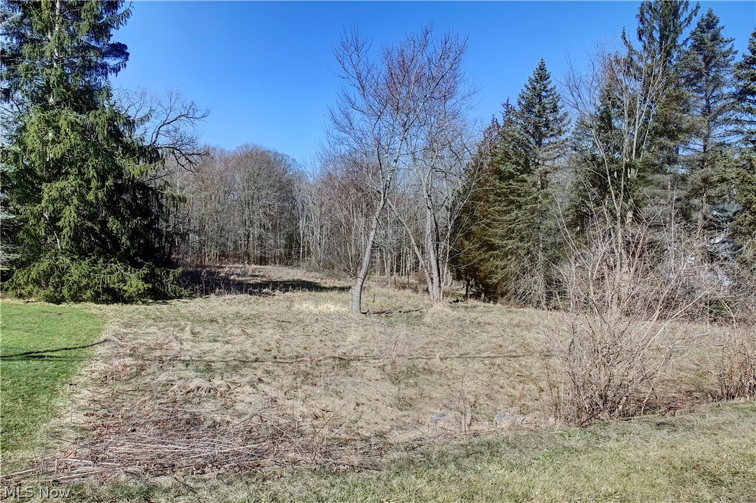 Beautiful, Buildable lot with wooded views minutes from national parks, including the Great Falls of Tinkers Creek, Viaduct Park, and Bedford Reservation, just to name a couple. In addition, enjoy the Metro Parks hiking and biking trails, Shawnee Hills Golf Course and the Walton Hills Lake Club! This lot is also available with the the home listed at MLS# 4261809.