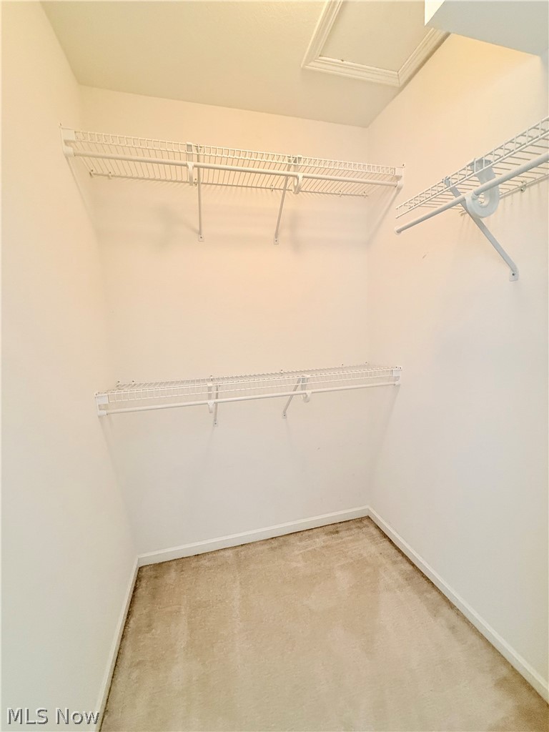 Summit At St Andrews Condo - Residential