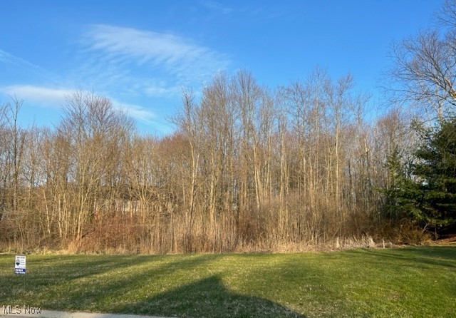 Discover Treemont Estates, the most prestigious neighborhood in Canton South.  Nestled in wooded acerage, you will be close to the conveniences of town, but out of the chaos and noise of city life.  Located only a few short minutes from the highway, bring the builder of your choice and make your dream home a reality.