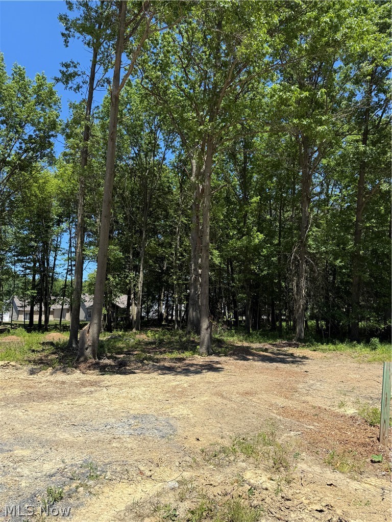 Let Cassell build your new home on this large 0.40 acre wooded lot!  No HOA!  Public Water and Public Sewer. Deed restrictions require 1400sf minimum for ranch, and 1800sf minimum for 2-story.  Cassell is a custom builder, so bring your plans, or use one of ours!