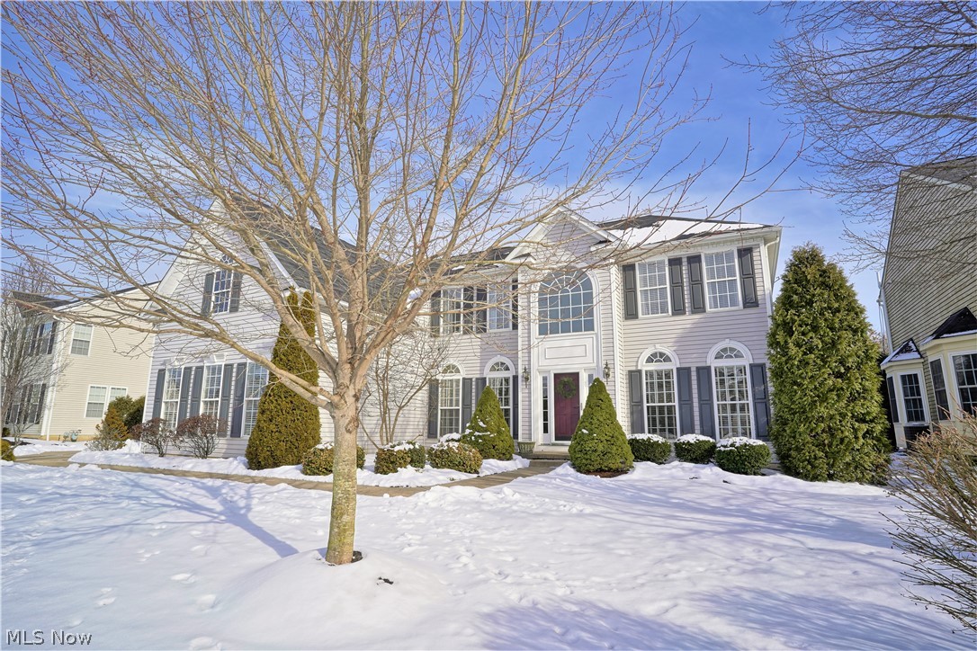 301 Alexander Ct. is a great opportunity to own a home in the sought after Hillside neighborhood located in the award-winning Revere Schools.  This home features wonderful landscaping with mature trees for privacy while dining on the large brick patio.  Fantastic open concept floor plan with an updated kitchen, new hardwood floors, and wainscoting throughout the first floor.   Upon entering the home your eye goes directly to the soaring Great Room with a beautiful two-story stone fireplace. The large gourmet kitchen is a chef's dream with beautiful white cabinetry, large island, granite countertops, S.S. appliances and a huge pantry. The kitchen includes a morning room with access to the backyard.   A  private office, dining room, living room, laundry with plenty of cabinet space complete the first floor. A split staircase leads to the second floor. The master bedroom features a vaulted ceiling, large garden tub, h/h sinks and a walk-in closet. The three additional bedrooms are spaciou