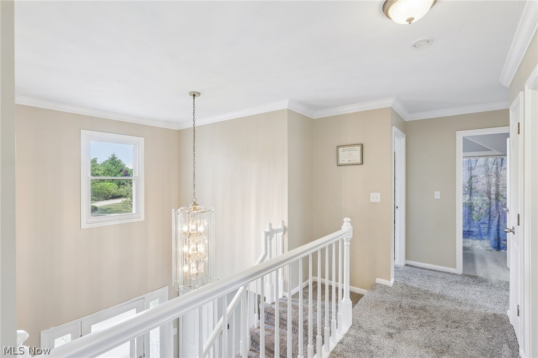 Royal Valley - Residential