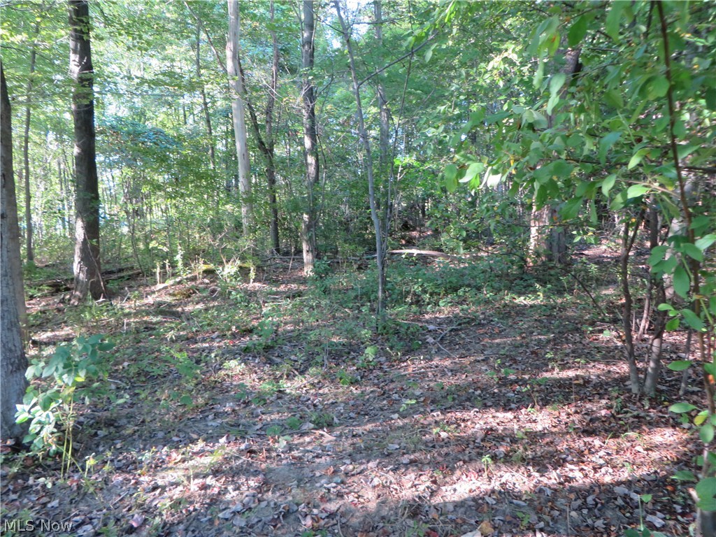 Century Hill - Land