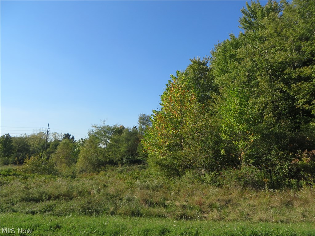 Century Hill - Land