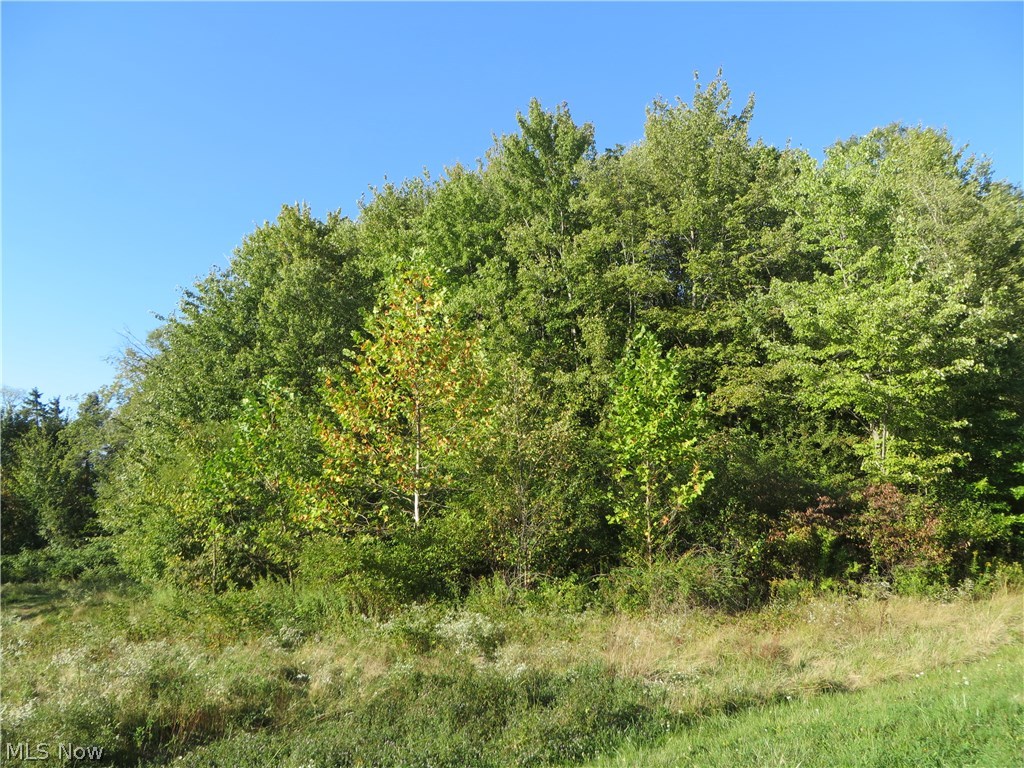 Century Hill - Land