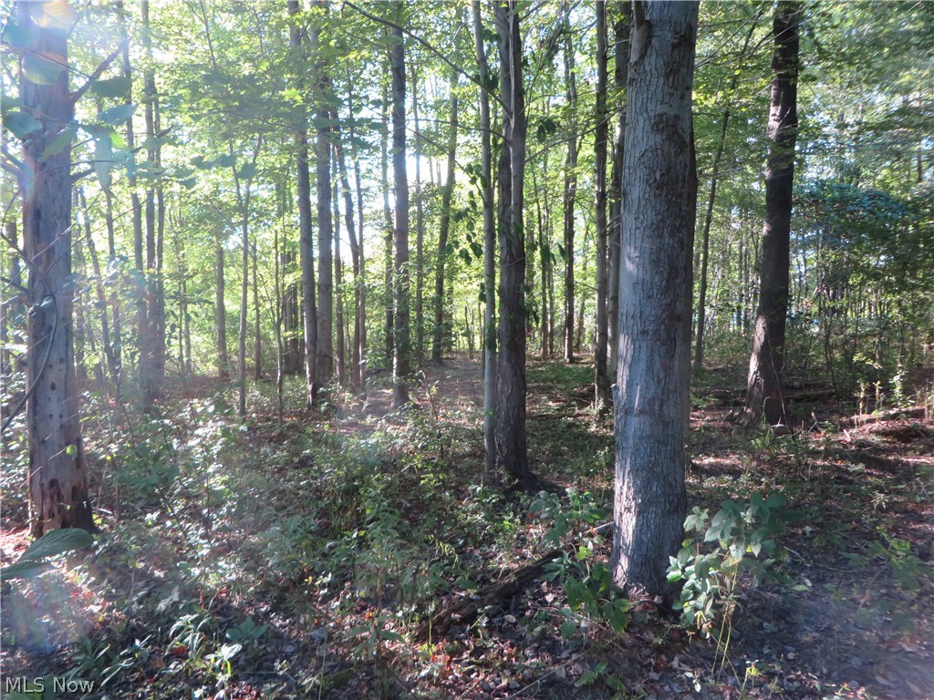Century Hill - Land