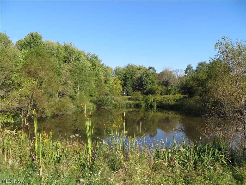 Century Hill - Land