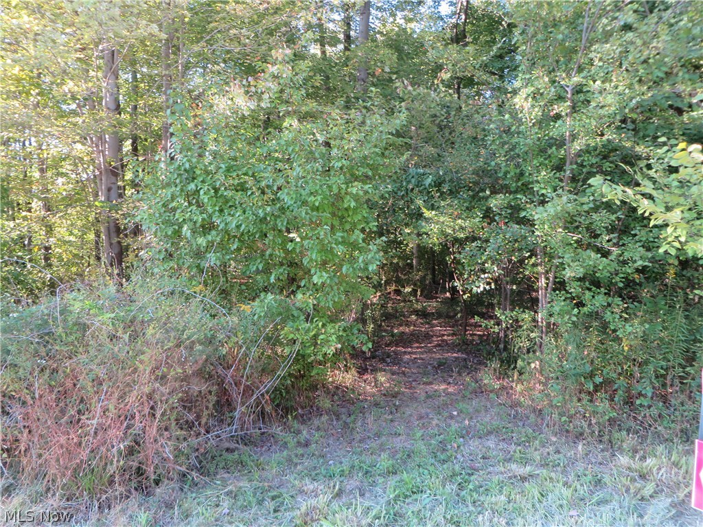 Century Hill - Land