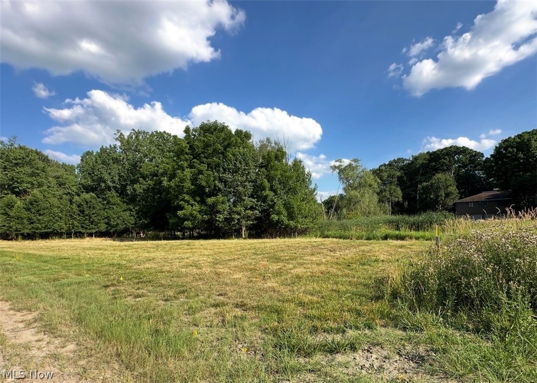 Dunbarton Properties Sub - Land