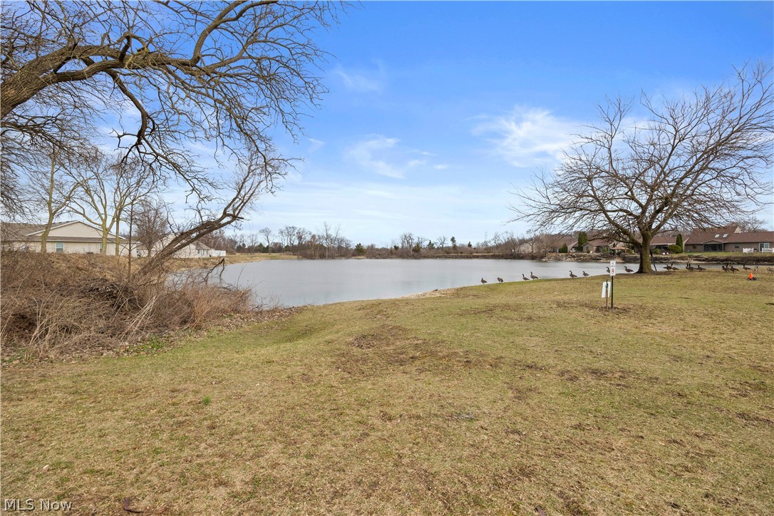 Lake Wilmer - Residential