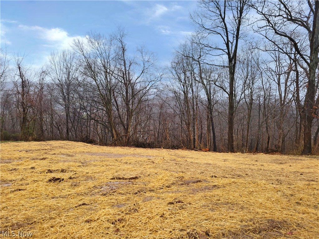 Newberry Sub - Land