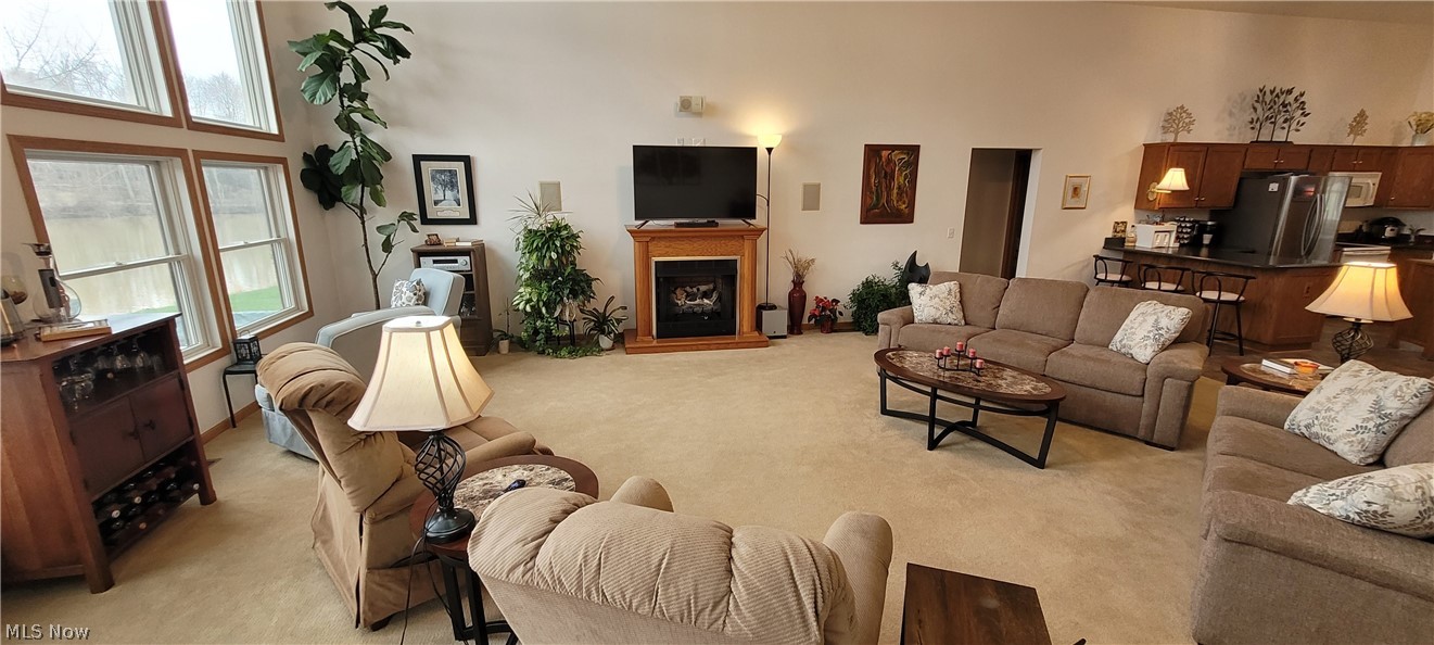 Cinnamon Lake - Residential