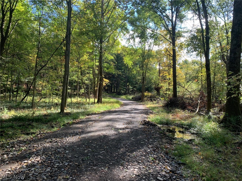 Home builders, nature lovers or hunters -- 107.67 acres of rolling, wooded land with ponds and a creek. Beautiful scenic views and lots of mature trees. Great location to build your dream home, hunt, camp or enjoy the outdoors. Seller has recently put in a road and a culvert across the creek as well as cleared an area for a future home site. This property is across from 9800 Morges Dr. SE. It is in a secluded location but within walking distance of downtown Waynesburg. Mineral rights do not convey. Land use, residential or farm/ranches.
