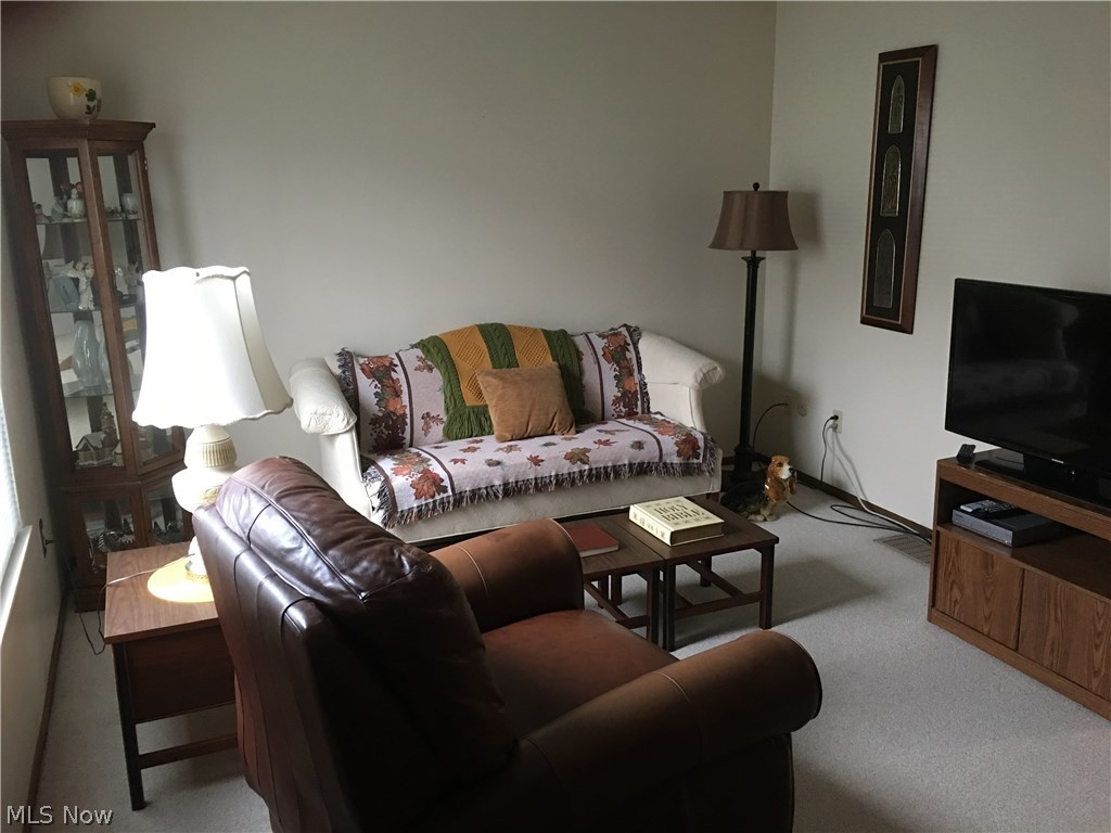 Village In Falls Condo - Residential
