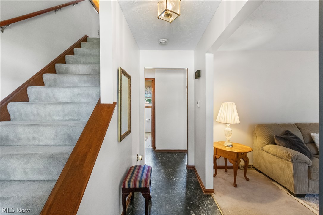 Hitchcock Woods - Residential