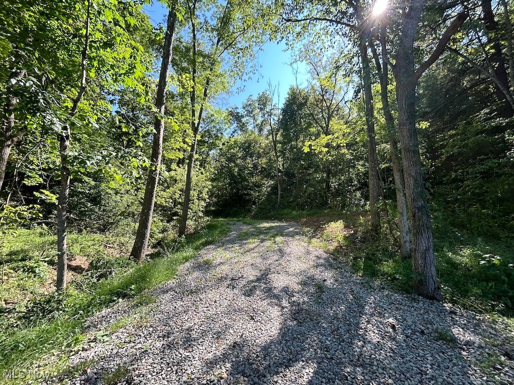 This property offers an excellent opportunity for both hunting and recreation. It features all-wooded land with a well-maintained food plot, located in an area renowned for its exceptional deer and turkey hunting. The ridge-top food plot is equipped with a new shooting house, feeder, and freshly planted clover. The land is primarily composed of hardwood timber, including a healthy mix of white and red oak, with some trees nearing harvestable size. Accessed by a peaceful country road, the property provides a sense of seclusion and tranquility. Schedule your private showing today.