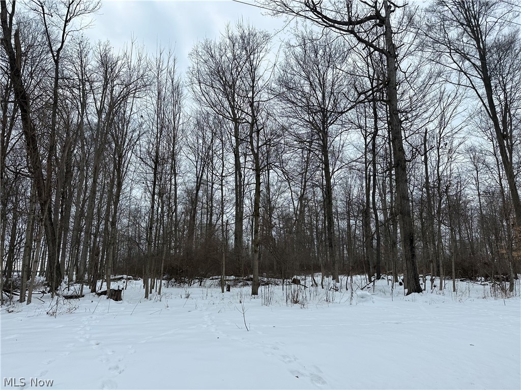 PARTIALLY WOODED PROPERTY IN KNOX COUNTY